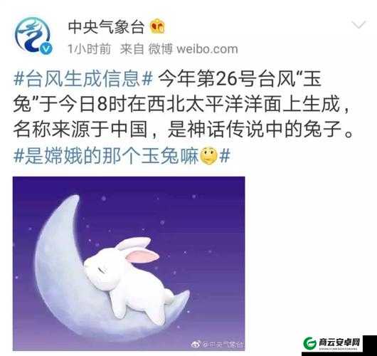 嘻游风暴玉兔技能搭配指南