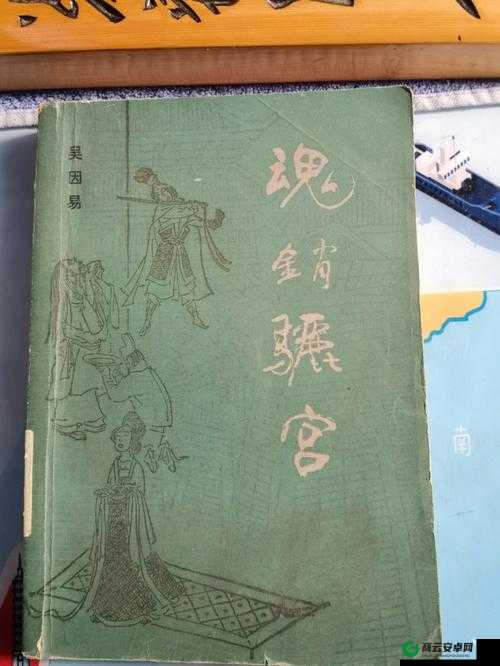 魂销骊宫1987：一段传奇之旅