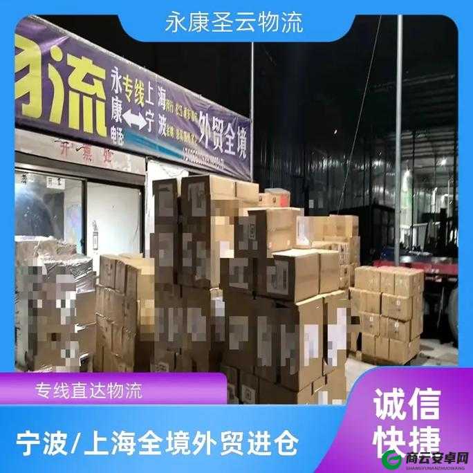 欧亚专线欧洲 W 码：优质专线服务直达