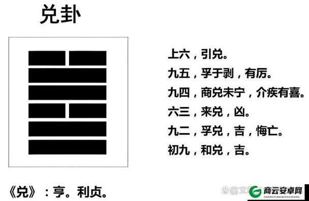 当日兑：全新解读与分析