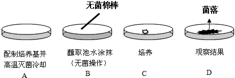 精产一二三产区区别在哪儿：深入探究其不同