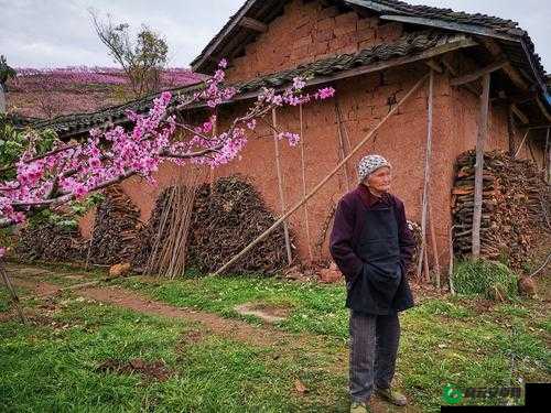 故地重游：母亲桃花源