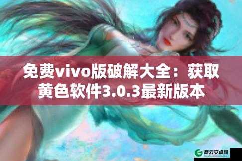 3.0.3 免费 vivo 版破解大全：实用资源汇总