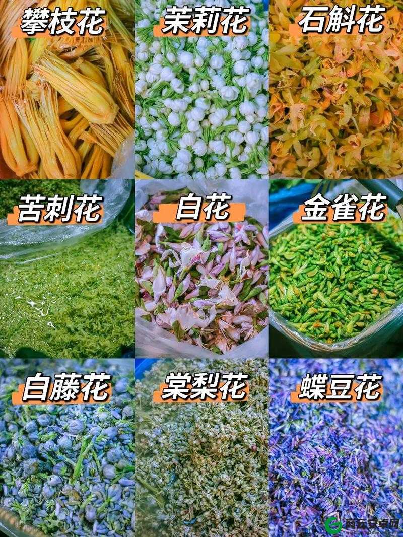 吃花核心流水喝：饮食的独特魅力