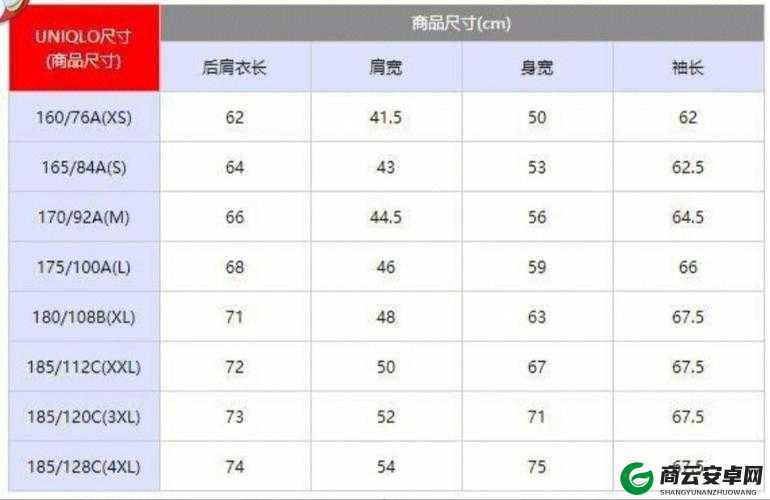 日韩码一码二码三码区别：深入剖析其不同之处