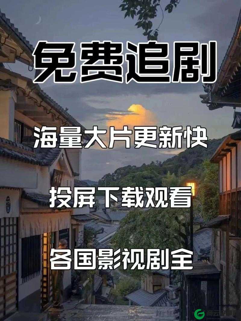 96533 电视影片免费：开启精彩观影之旅