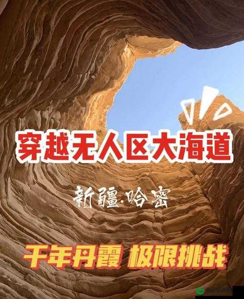 98 无人区码一码二码三码软件，助你畅游未知领域