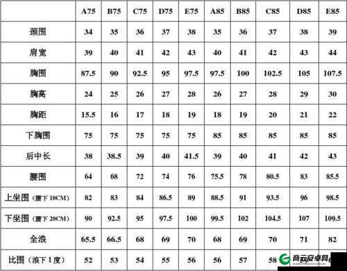 欧洲码欧洲尺码 M 高清：详细介绍