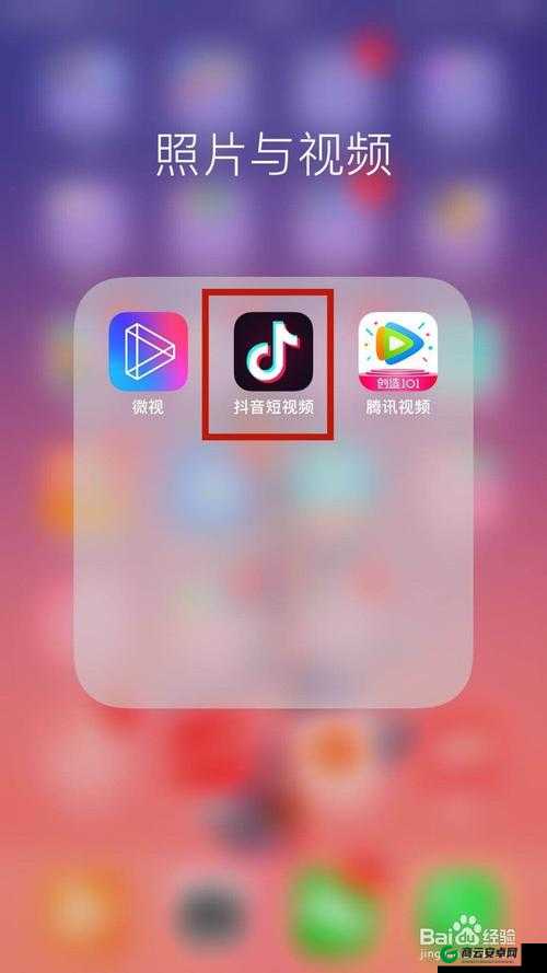 成品网站短视频 APP 免费百度：一款实用的应用