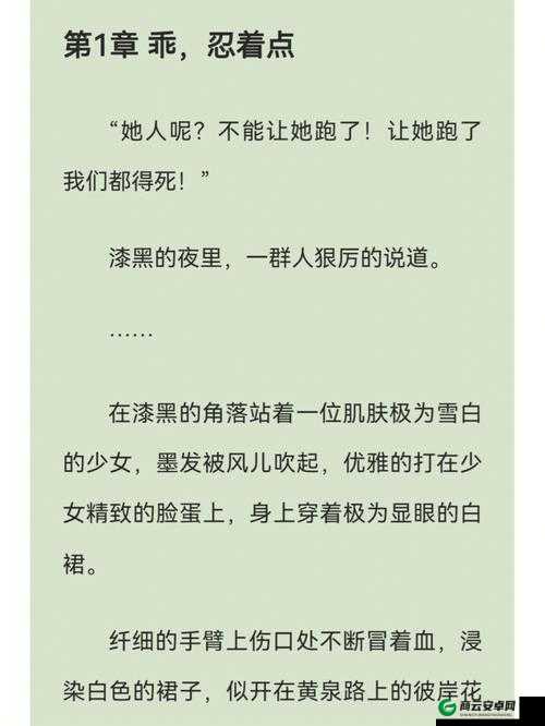 三只狼兄的宠妻宋钦：爱与守护的传奇