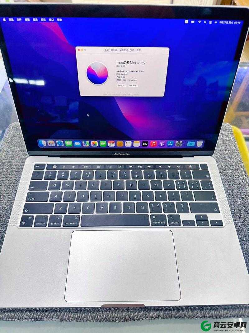 19 部 MACBOOKPRO 日本：相关信息介绍