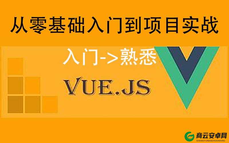 JS  VUE ：实战技巧与应用