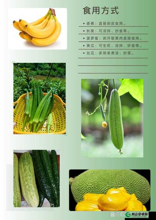 秋葵草莓丝瓜黄瓜榴莲大全：水果、蔬菜的完美搭配