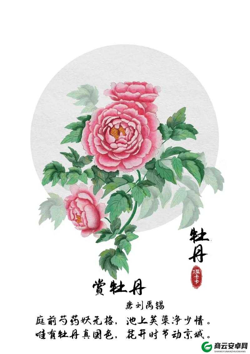 共道牡丹时相随买花去：赏花之约