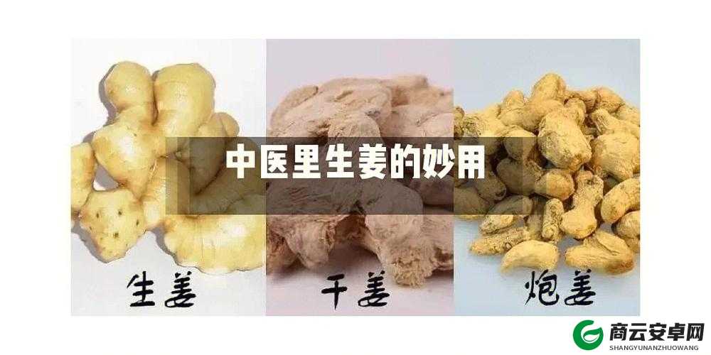 因为不吃姜被罚夹一年生姜：令人惊诧的惩罚