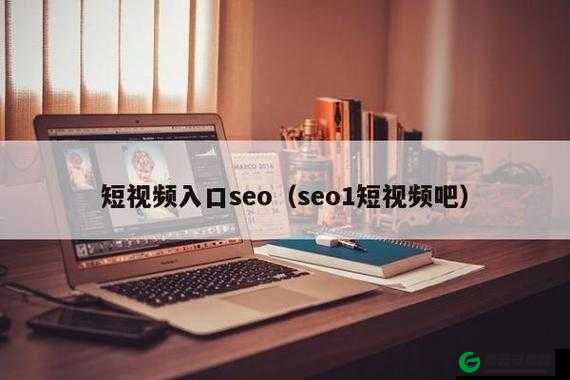 SEO 短视频网页入口引流：轻松开启流量之旅