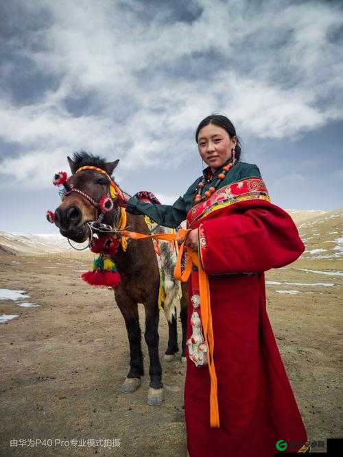 可可西里大但人文艺术：独特魅力之所在