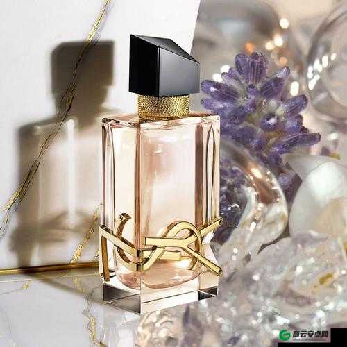 YSL 千人千色 YESE86 官网：美妆魅力之选