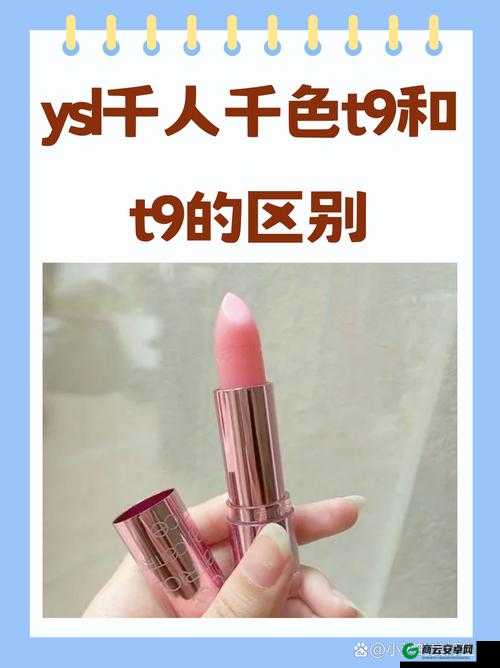 ysl 千人千色 t9 与 t9 的区别在哪