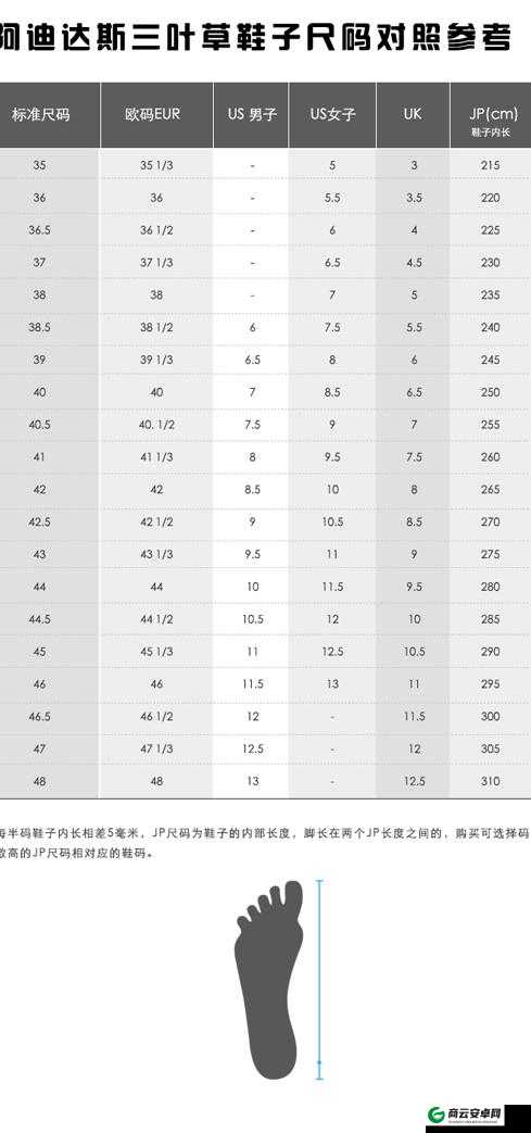 三叶草亚洲尺码和欧洲尺码区别：对比分析