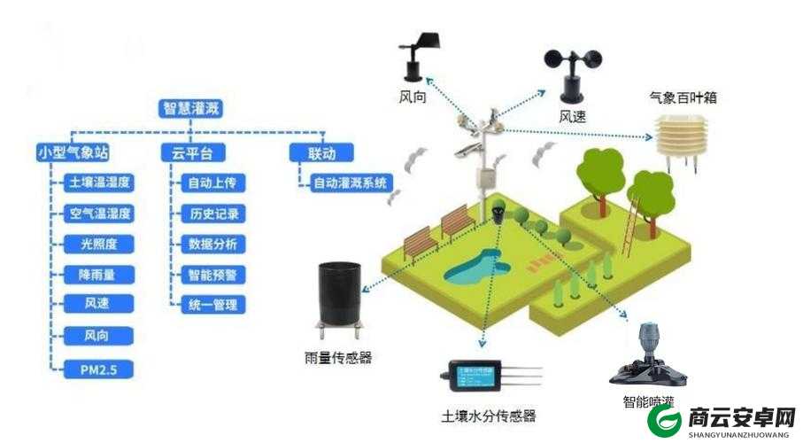 自动灌溉系统 BY 应照离：高效节水的新选择