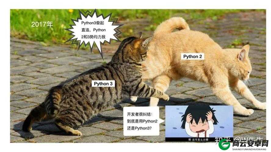 python 人与狗的奇妙故事