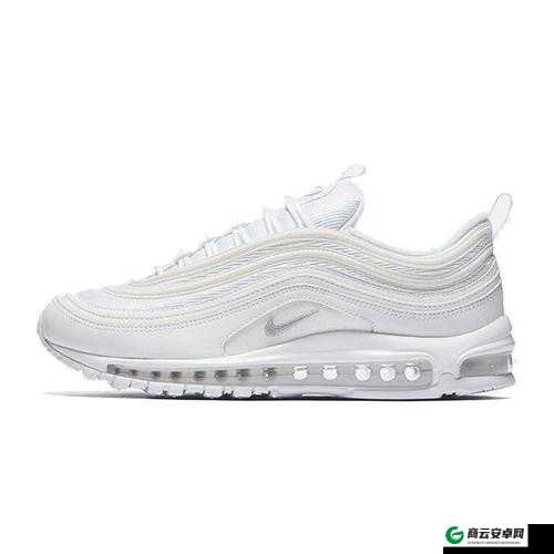 AIRMAX97 杂交特点：科技与时尚的完美融合