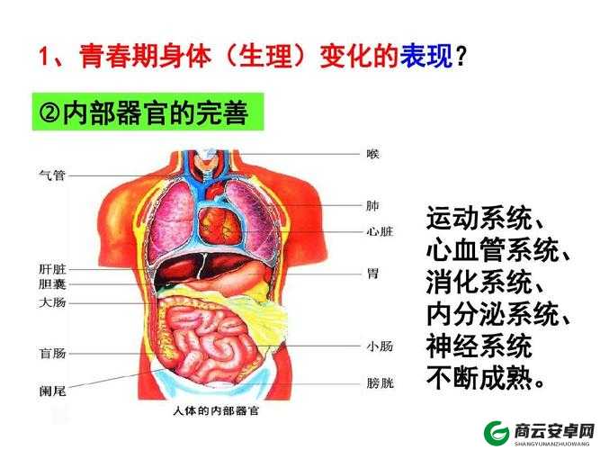 精品人与精品人的差异探究之分析