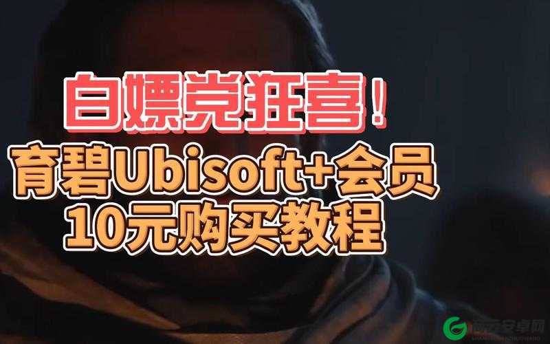 Ubisoft 购买价格是多少？