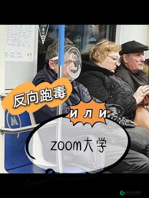 Zoom 人与 ZoomZoomHD 区别差异解析