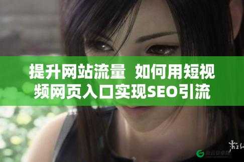 seo 短视频网页入口引流：提升流量的关键策略