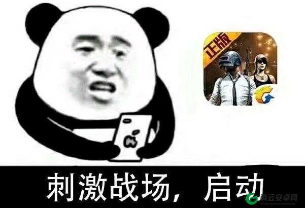 刺激战场表情动作系统引争议