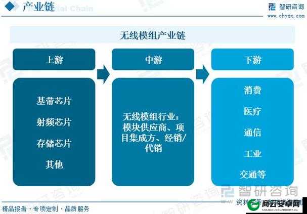 国产无线一线二线：行业现状与发展