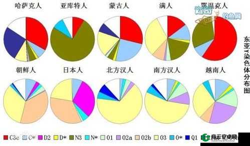 亚洲人与欧洲人染色体的区别：深入探究之差异