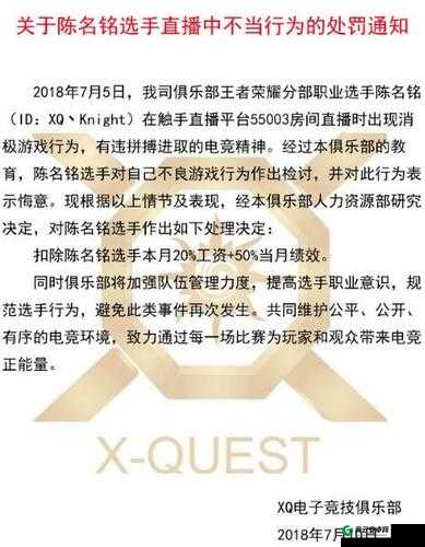 XQ 战队 Knight 直播点投降遭严惩