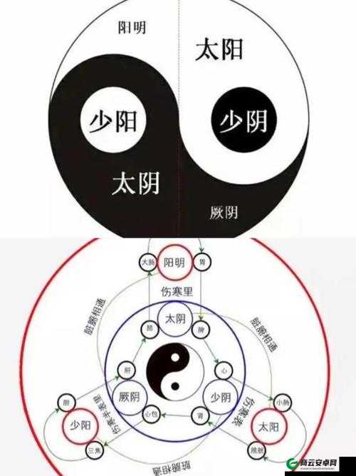 五毒奇经武学的来历