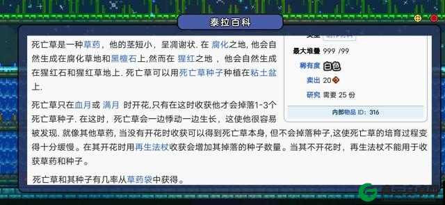 泰拉瑞亚死亡草种子获取方法与位置揭秘