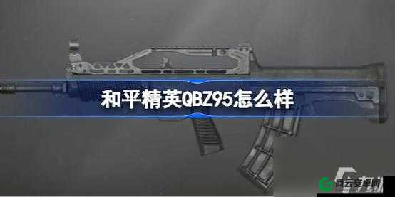 和平精英：QBZ95性能与数据概览